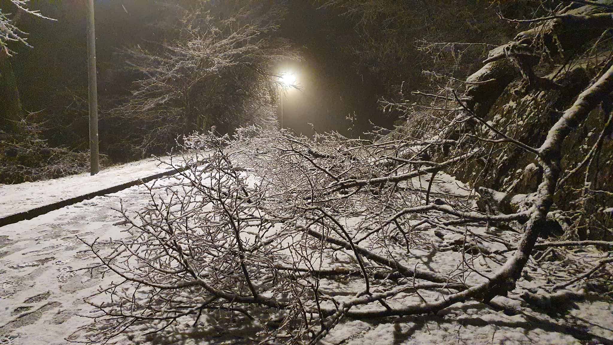 Lezárták Normafát a nagy mennyiségű ónos eső miatt! 9