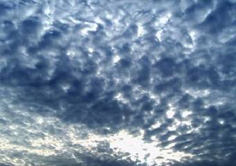 Altocumulus opacus (Ac op)