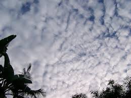 Altocumulus perlicidus (Ac pe)