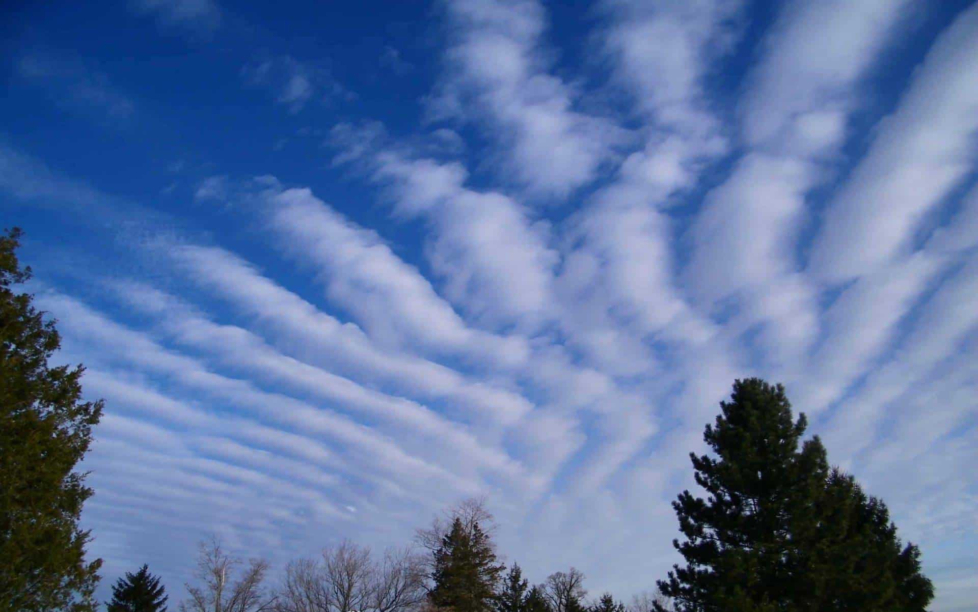 Altocumulus radiratus (Ac rad)