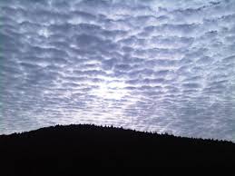 Altocumulus translucidus (Ac tr)