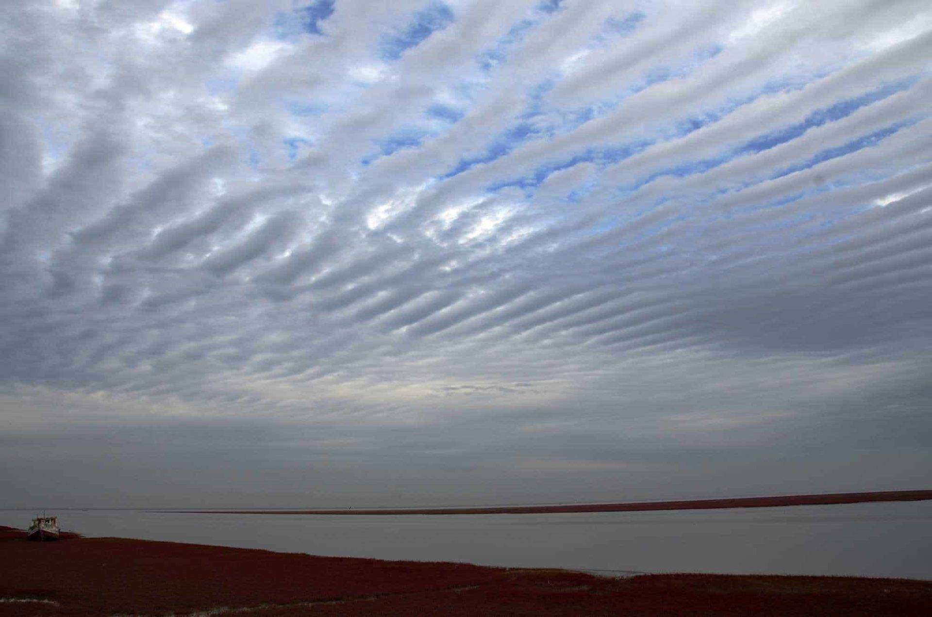 Altocumulus undulatus (Ac un)