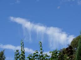 Altocumulus virga (Ac vir)