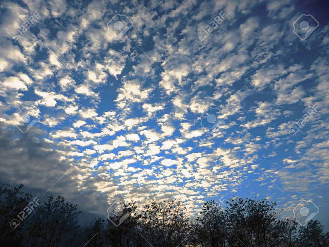 Cirrocumulus floccus (Ci flo)