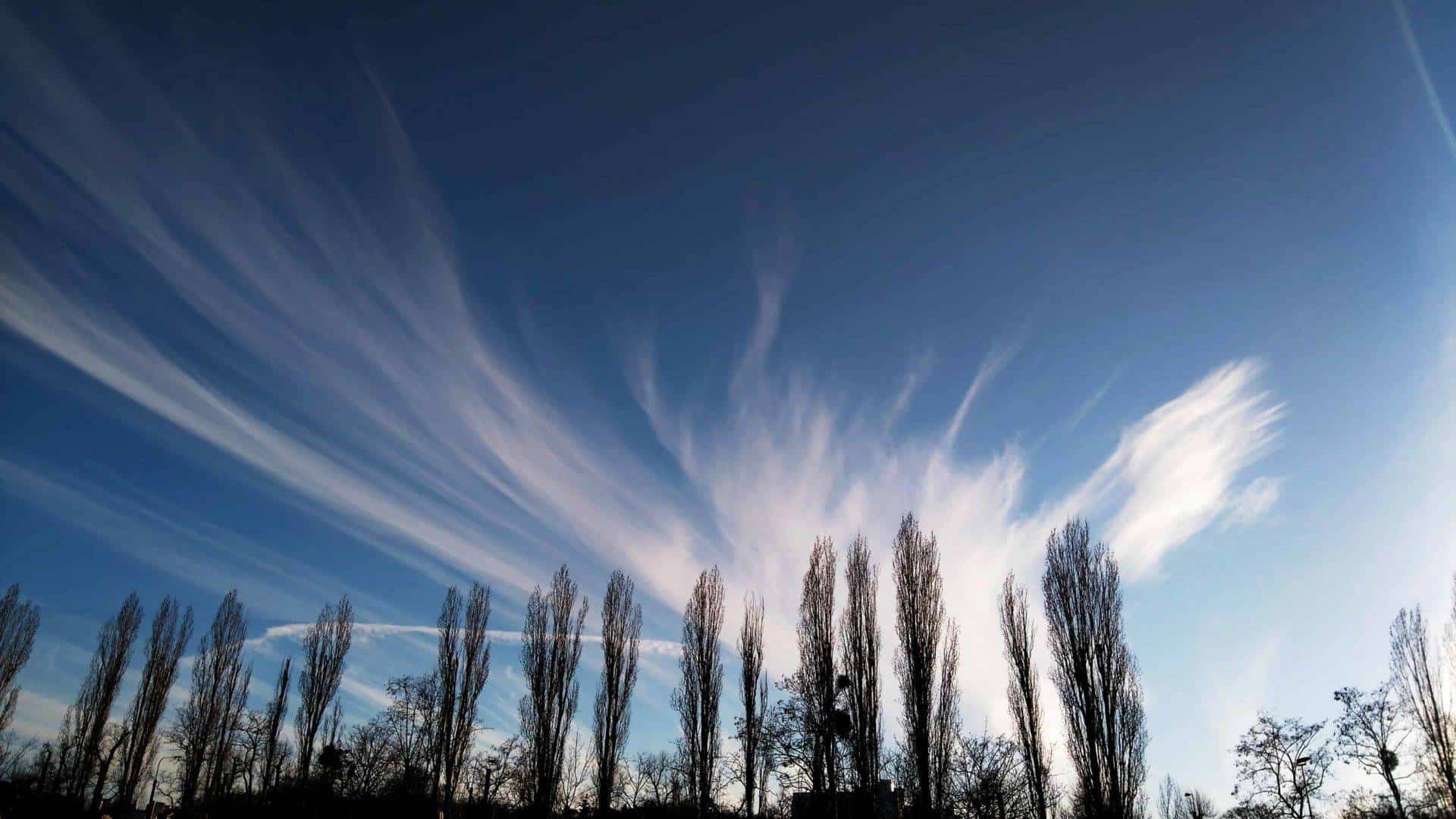 Cirrus fibratus (Ci fib)