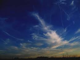 Cirrus intortus (Ci in)