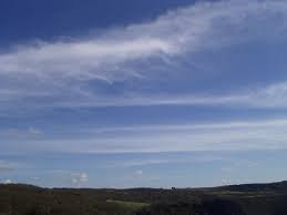 Cirrus radiatus (Ci rad)