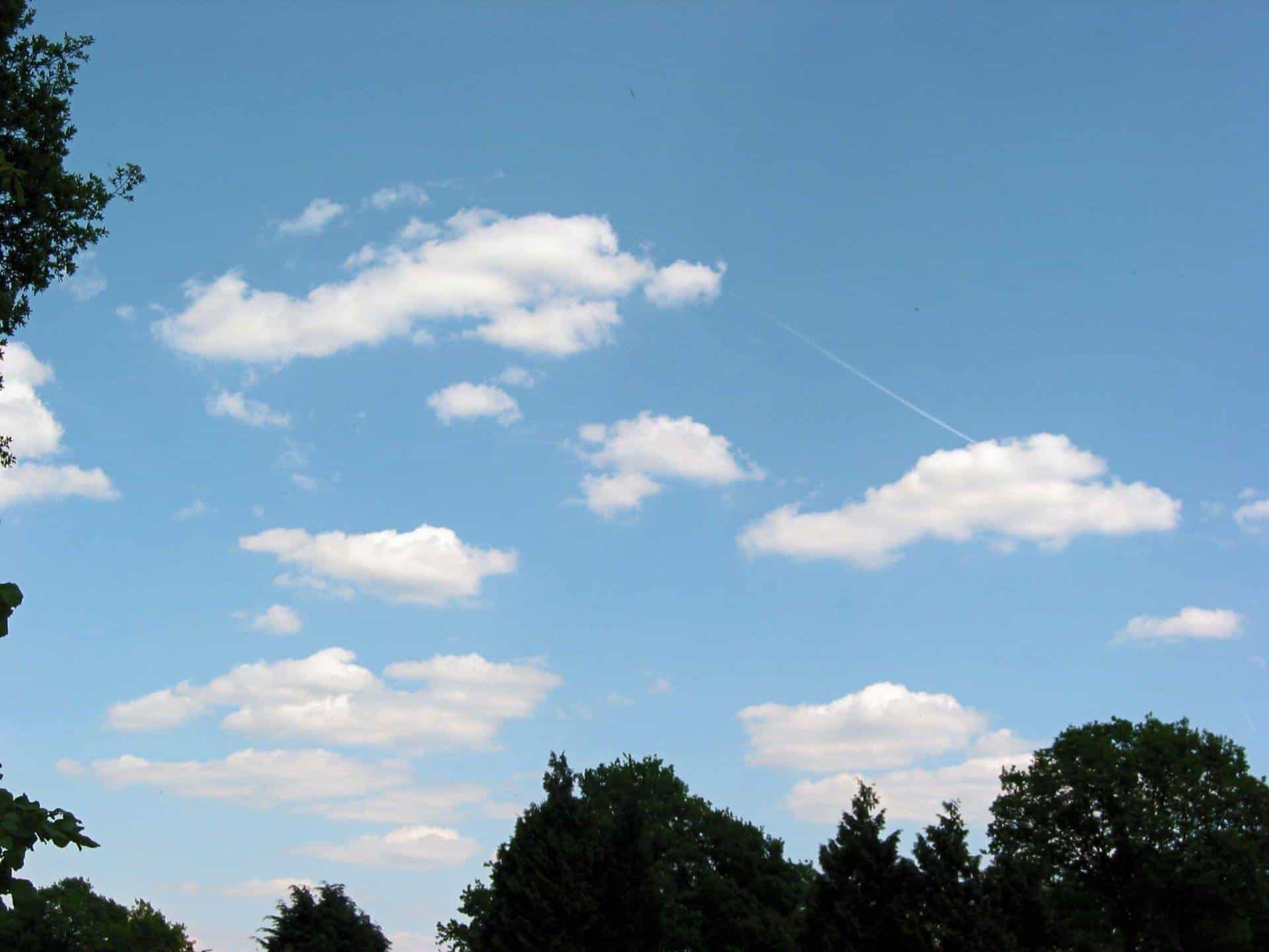 Cumulus humilis (Cu hum)