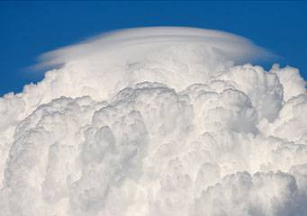 Cumulus pileus (Cu Pil)