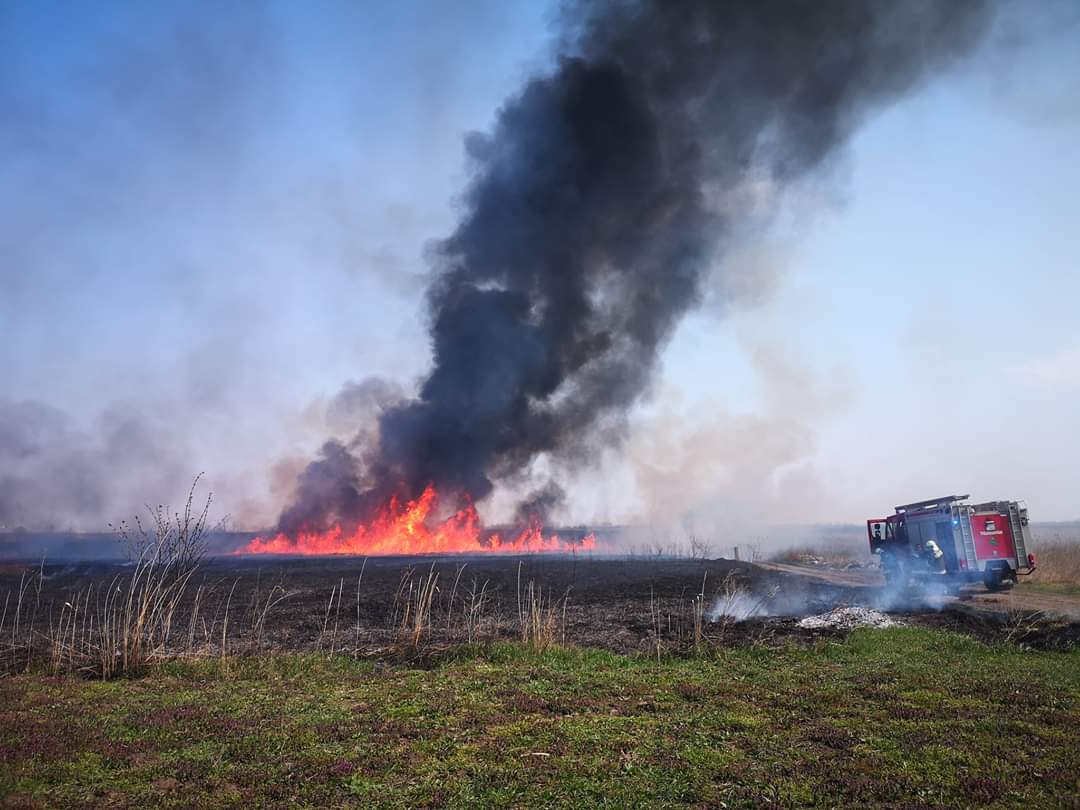 Tűzoltók dolgoznak a lángok elfojtásán