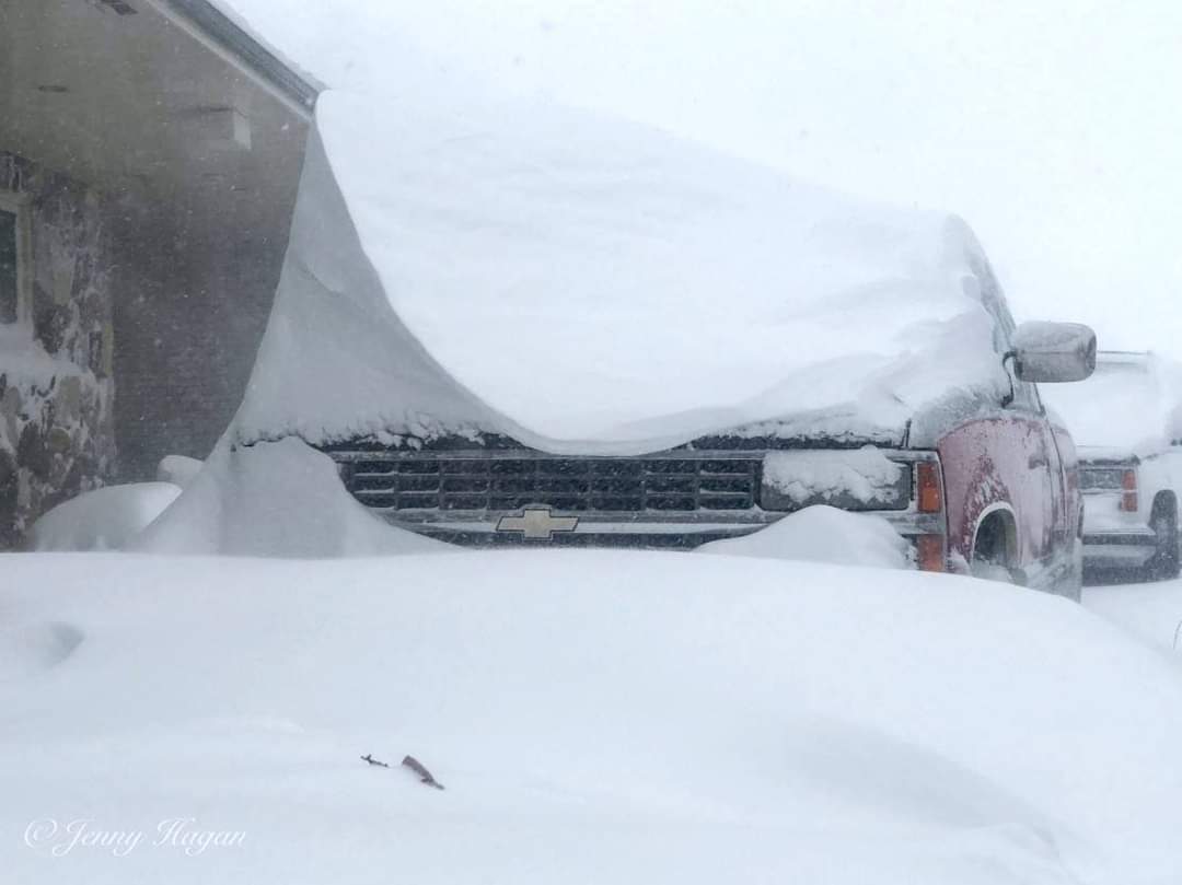 Hóvihar Kanada Alberta 