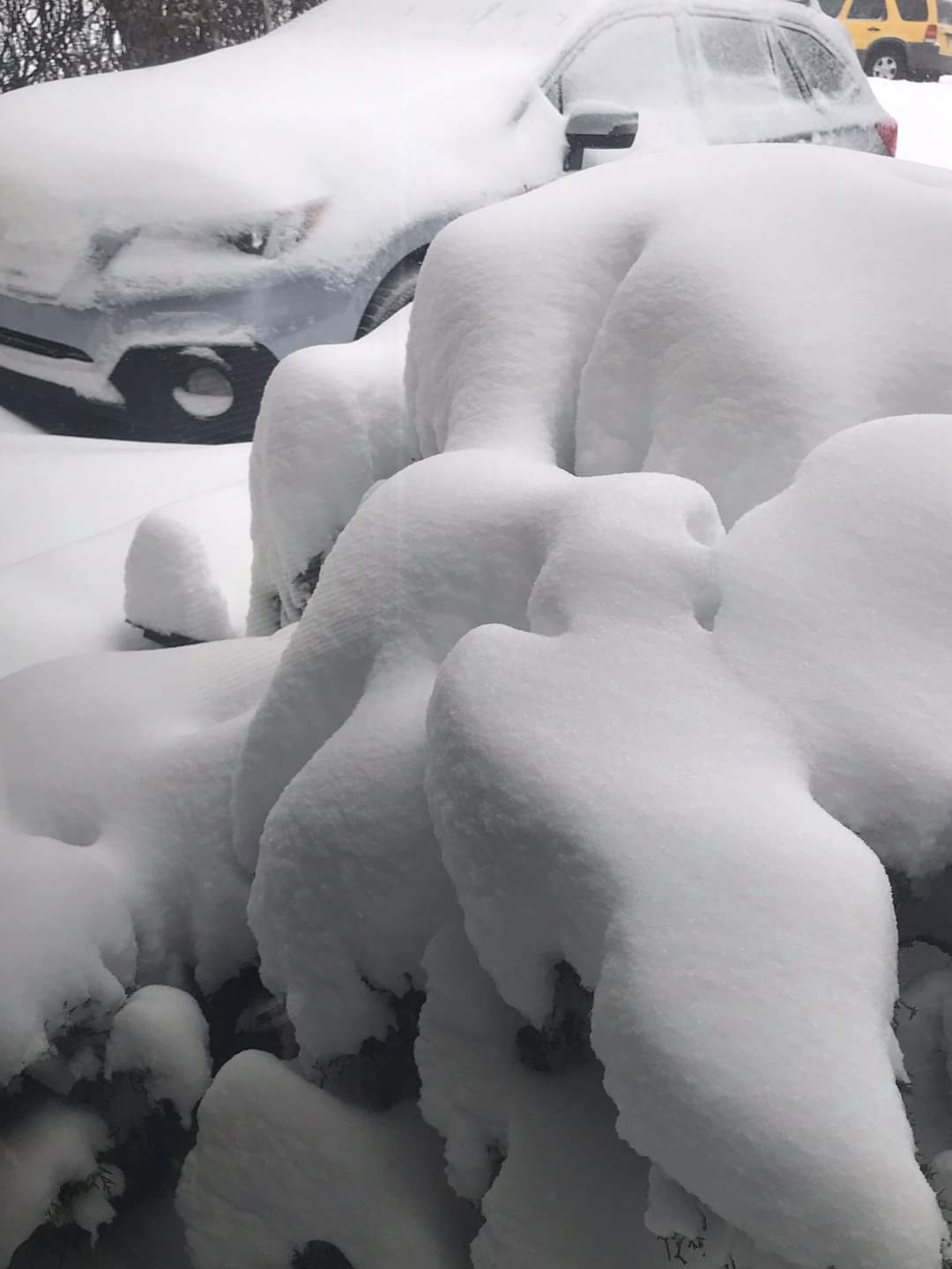 Hatalmas hóvihar, több méteres hófúvások Kanadában! Elképesztő felvételek! (Képek, Videók, Alberta) 9