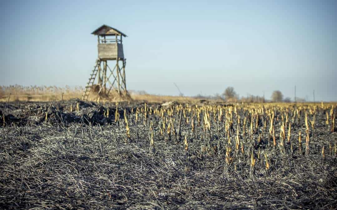 120 hektár égett le a Balatonnál