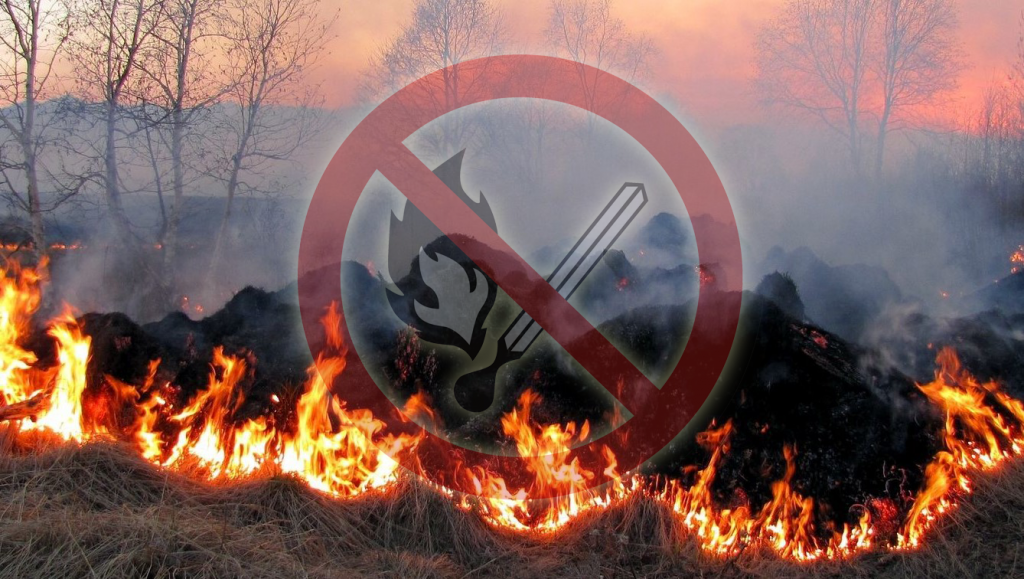 Holnaptól: Az egész országban tűzgyújtási tilalom lép érvénybe! 10