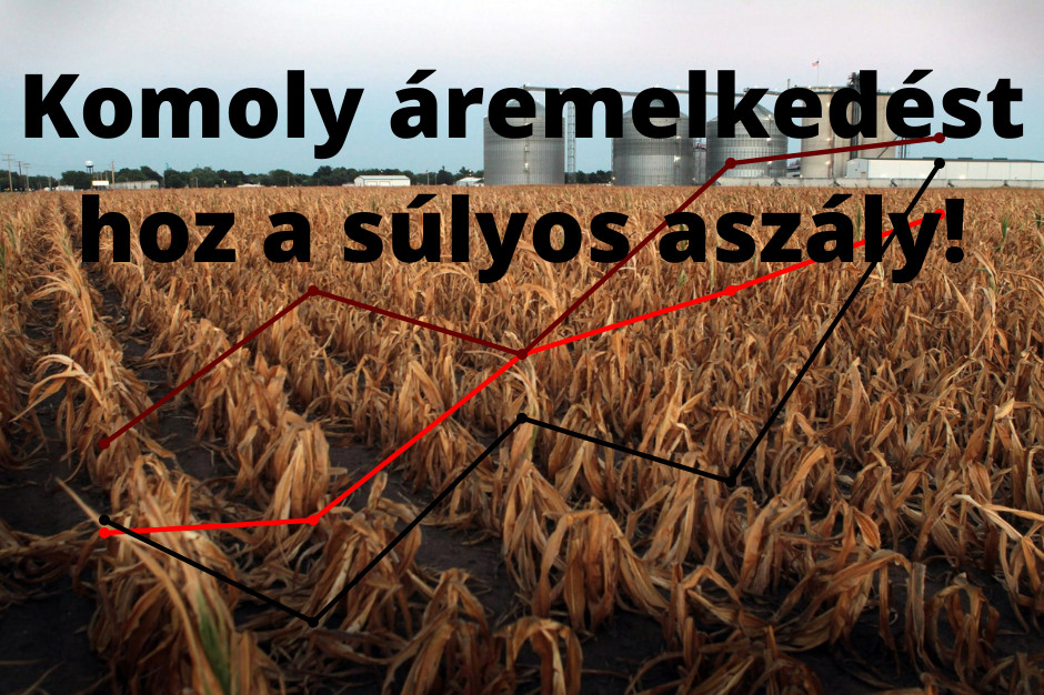 Komoly áremelkedést hozhat az aszály! 4