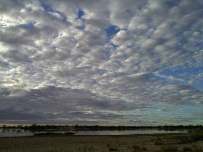 Stratocumulus (Sc)