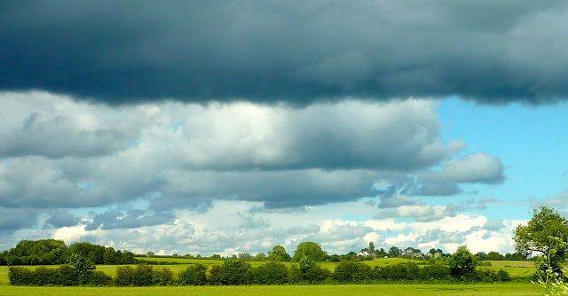 Stratocumulus cumulogenitus (Sc cumgen)