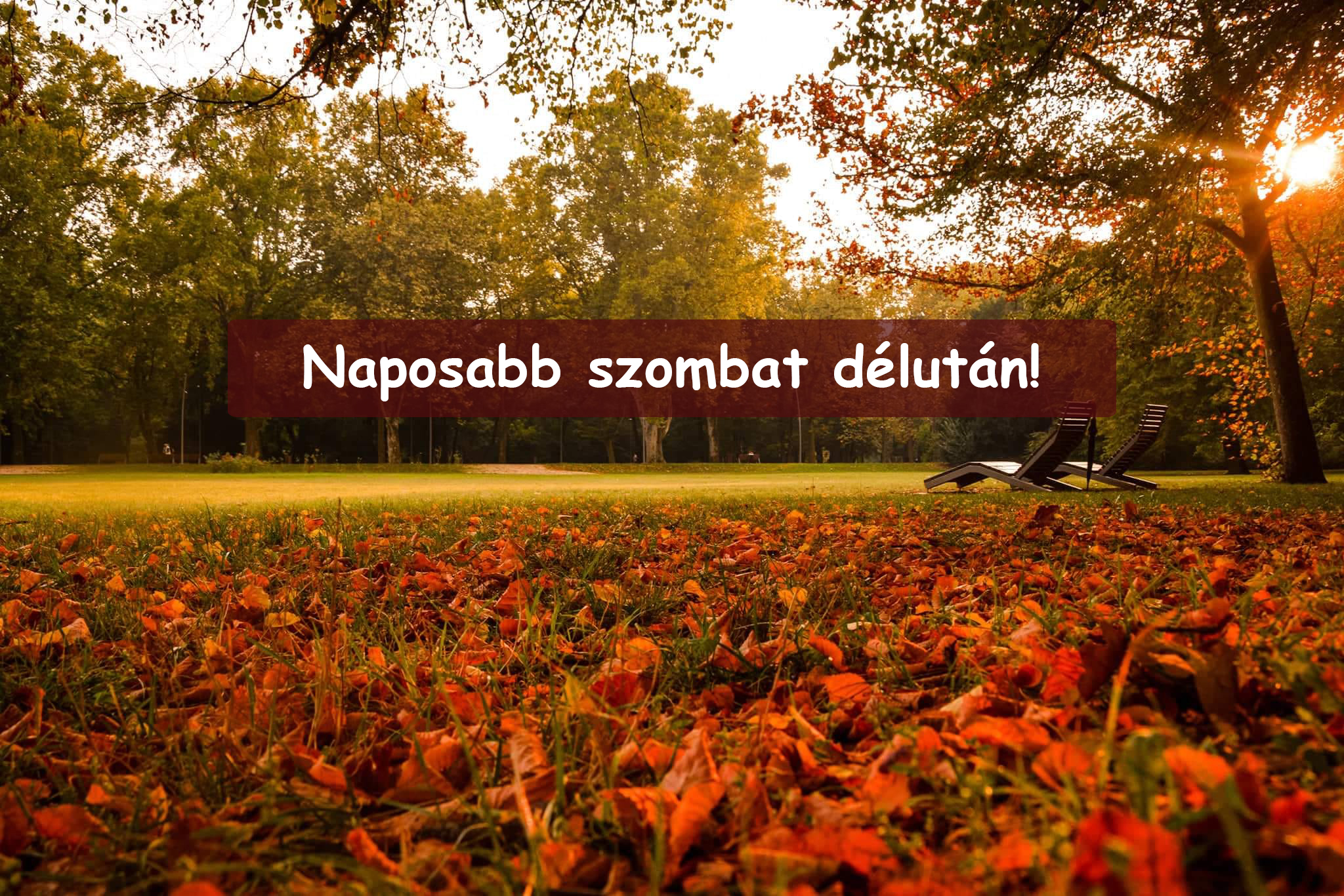 Naposabb szombat délután! 9