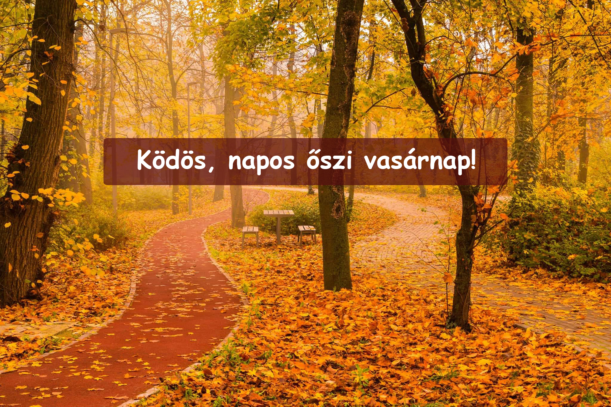 Ködös, napos őszi vasárnap! 8