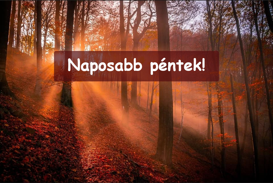 Naposabb péntek! 1