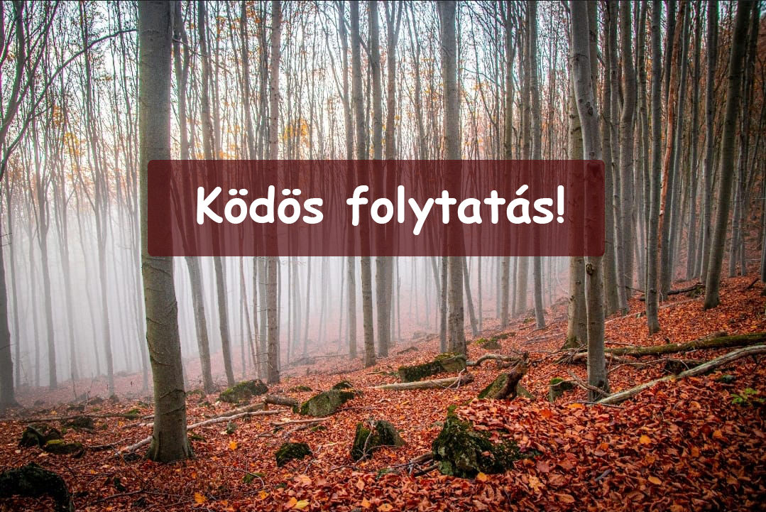 Ködös folytatás, néhol szakadozottabb lehet a felhőtakaró! 4