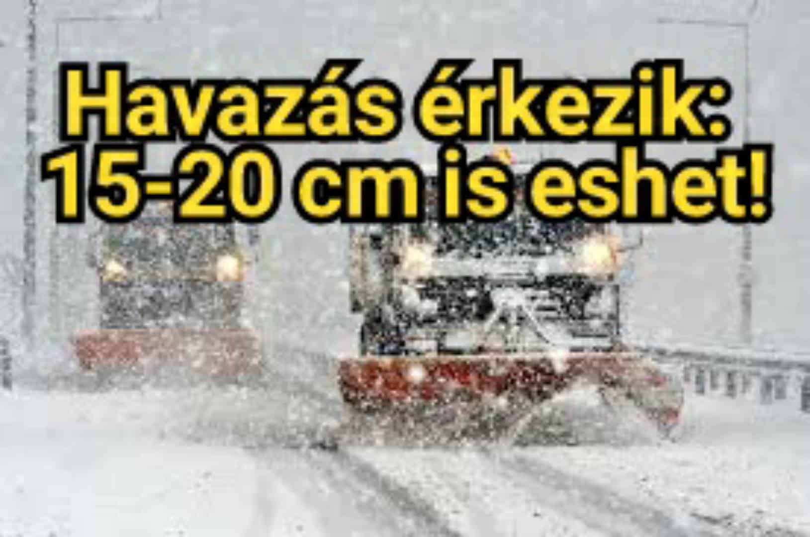 Cikk fotója